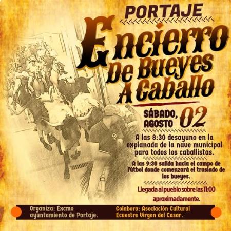 Imagen 2 de Agosto - Encierro de bueyes a caballo