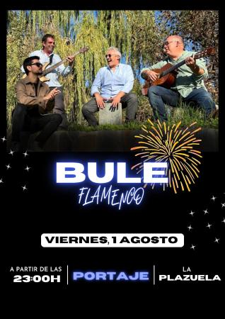 Imagen 1 de Agosto - Concierto en Directo de Bule Flamenco Fusión